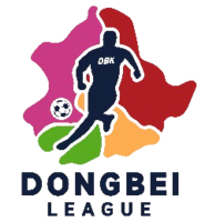 Dongbei Star Football Super League