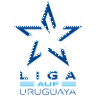 Liga AUF Uruguaya