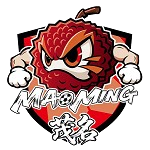 Maoming Team