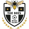 The Bees FC