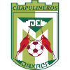 Chapulineros