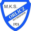 Orlicz Suchedniow